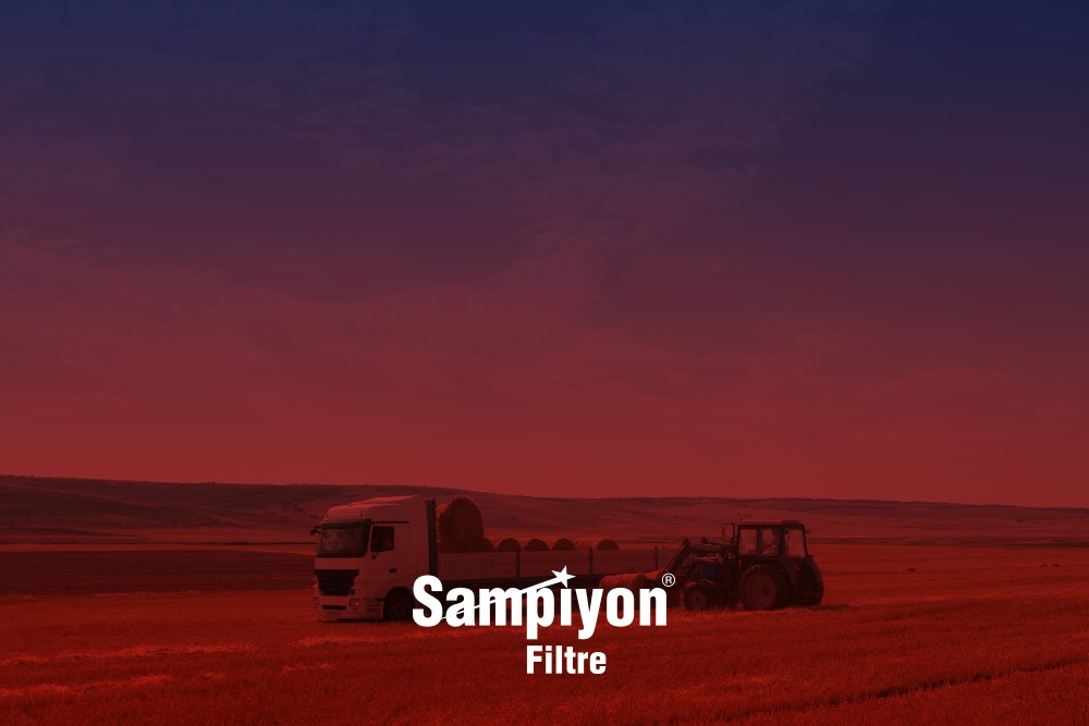 Şampiyon Blog